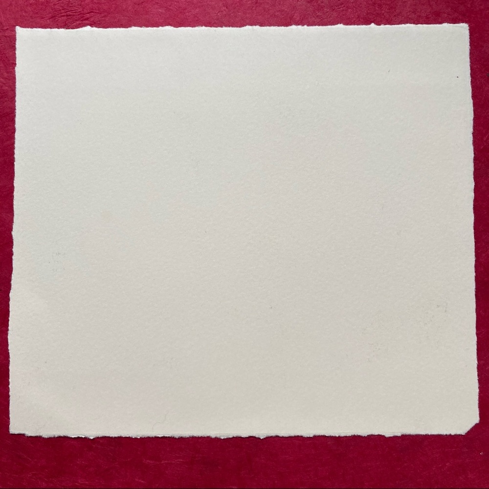 Photolithography Bra Print - Picture 3 of 4